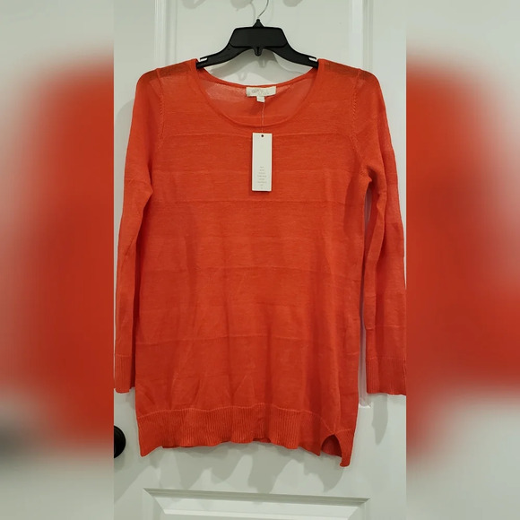 Mesh Tonal Stripped Orange Top Fall HALLOWEEN - Picture 1 of 14